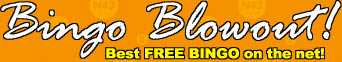 Bingo Blowout!